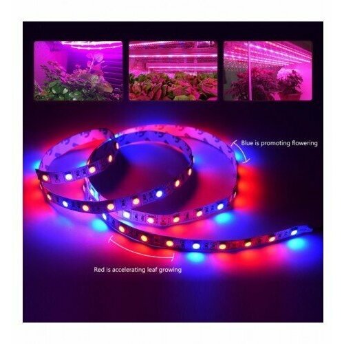 ���������� ��������� ��� �������� 3 ������� +1 �����, SMD 5050, 60 ������/����, 12 �, IP20,( 5 ������)