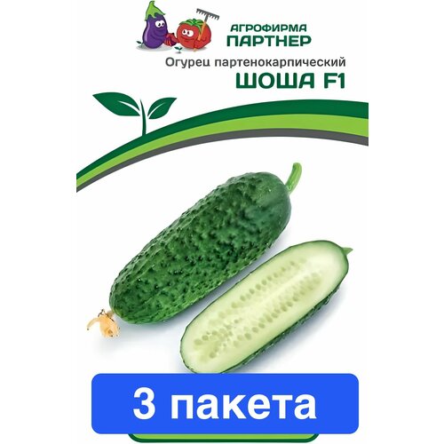 ���������� ������ ������ ��������� ������� 