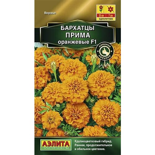 ���������� ������ �������� ����������� ����� ��������� F1 10�� 35�� (������)