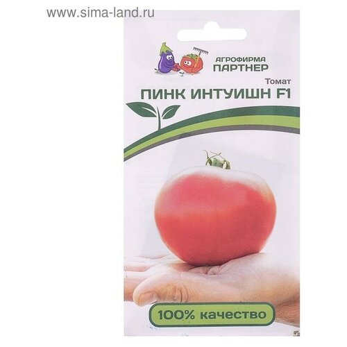 ���������� ������ ����� 