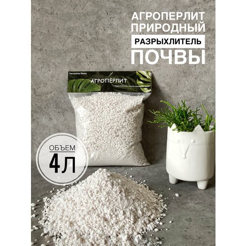 ���������� ������ ��� �������� Terracotta Plants 4 ����� ������������ ��� ������
