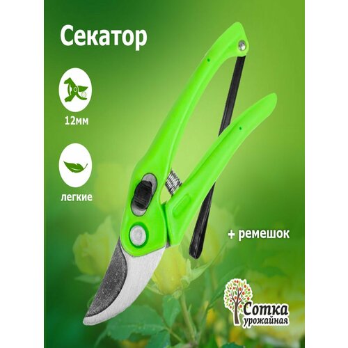 ���������� ������� � ������������ �������� 180 �� `��������� �����` XL833