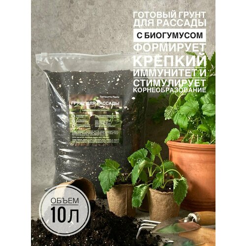 ���������� ����� ��� ������� 10 ������ � ���������� ������������� Terracotta Plants �������� ������