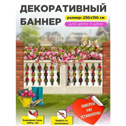 ���������� ��������� ������ �� ����� � ��������� 250�150 ��
