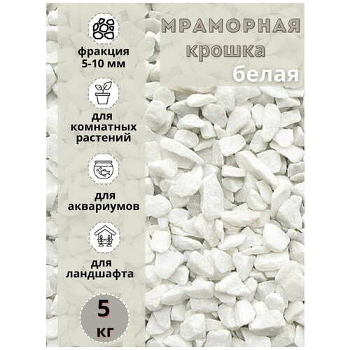 ���������� ��������� ������ ����� ������� 5-10�� (5��) ����� ����������� ��� ��������� � ������� ��������