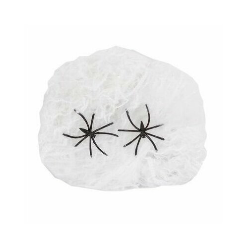 ���������� ������������ ������������� ����� ������� �� �������� � ��������, ������������ ���������