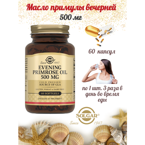     Evening Primrose Oil Solgar 500  60    , -, 