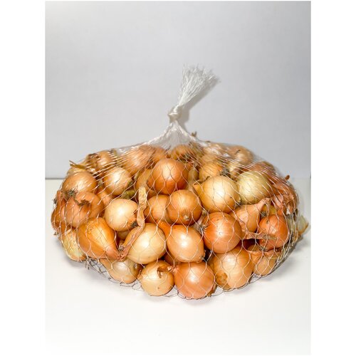 ���������� ����� ���-����� ����������� ����� 10/21 (0,5 ��)