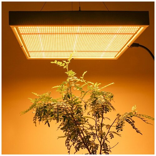 ���������� �������������� ��� �������� 150�� ���������