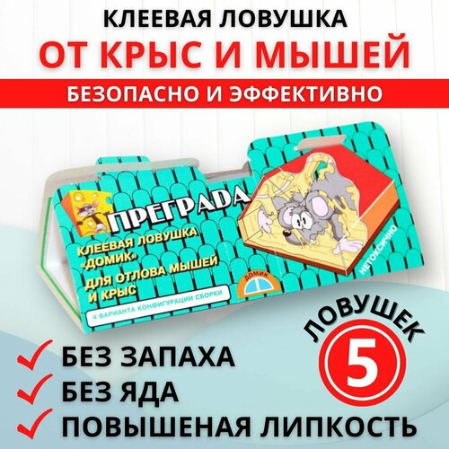 ���������� �������� ������� ������� �� ����� � ���� 5 ��