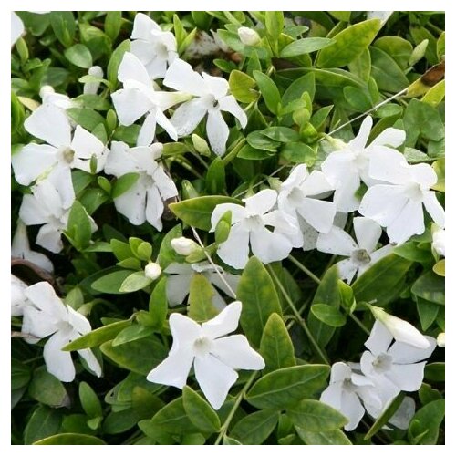 ���������� ������ �������� ����� �������� ������� 0,05 � (1 ��������)