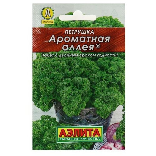 ���������� ������ �������� �������� 