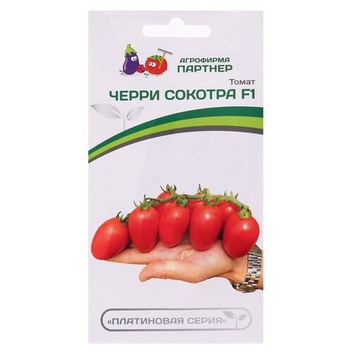 ���������� ������ ����� 