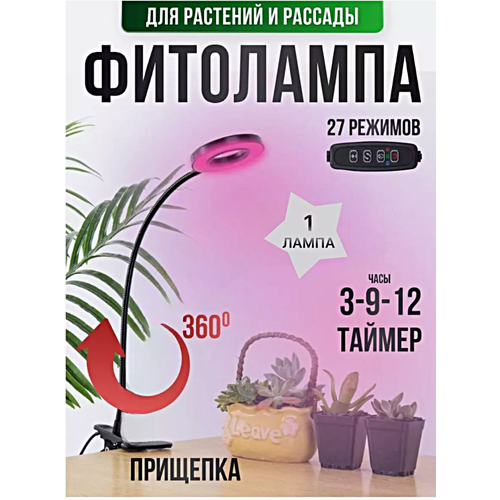 ���������� ��������� ��������� ��� �������� � �������, ���������������� ����� �� �������� ��� �������� ����, ����, 1 �����