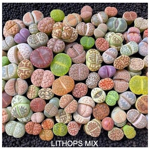 ���������� ������� MIX ������� ����� ��� ����������� ����������� �� �����