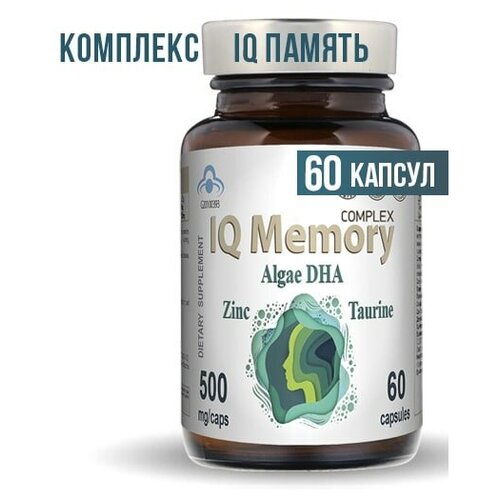  Memory          ,    , 60    , -, 