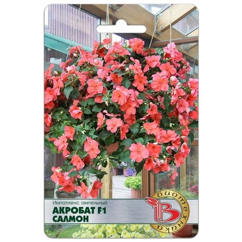 ���������� ������ ���������� ���������� 