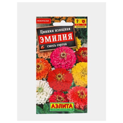 ���������� ������. ������ ������� 