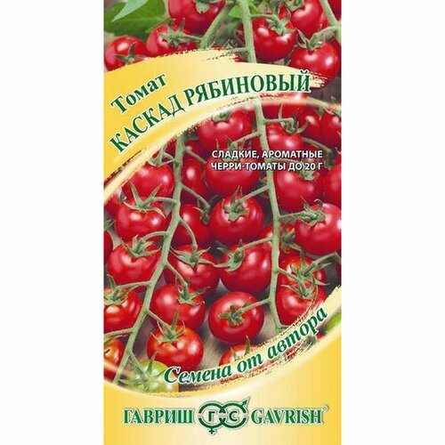 ���������� ������ ����� ������ ��������� , ������������, (������) 0,1� �21