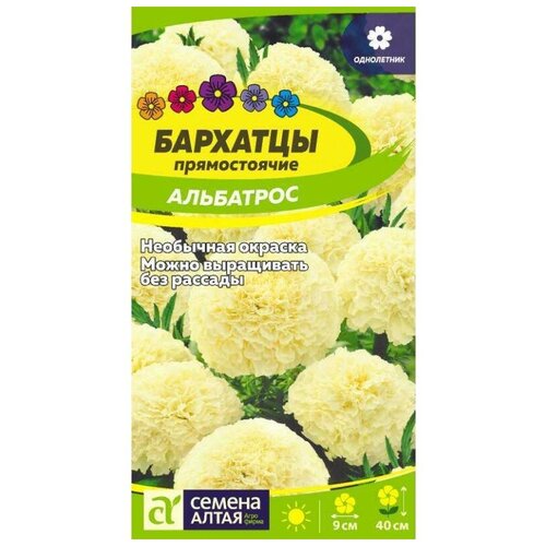 ���������� ������ ��������� ��������� 0,1 �