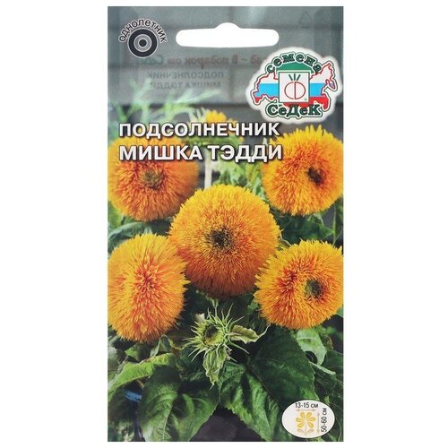 ���������� ������ ������ ������������ 