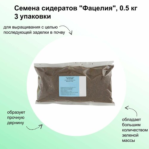 ���������� ������ ��������� 