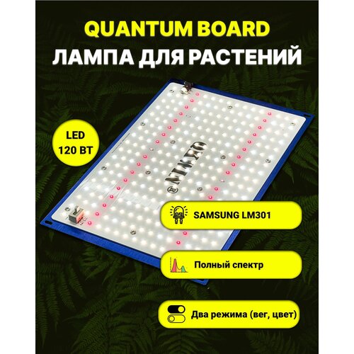   /   / quantum board/  / 120 / Mean Well/  Samsung LM-301. 5000, UV, IR   , -, 