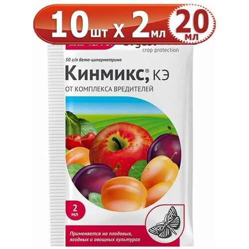 ���������� 20�� ������� 2�� � 10�� ������ Avgust