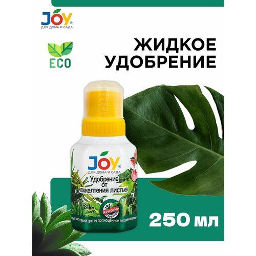    JOY   , 250   , -, 