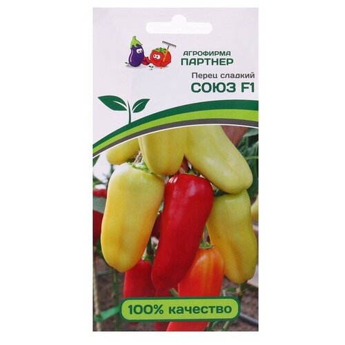 ���������� ����� ������� ���� ����������� � �������, 1 �������� (10 �����)