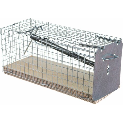 ���������� ���������-������, ������ 12,4 � 5 � 5,5 ��, �� ������������ ����� � ���������� ����������. ��� ������ �������� � ��������, ������������� ����������