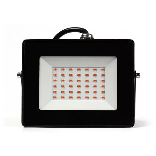 ���������� SmartBuy ���������� ��� �������� SBL-FLFITO-30-65K, ������