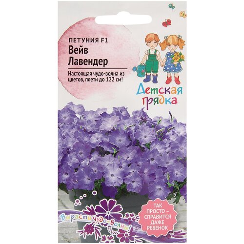 ���������� ������ ������� ���� �������� F1 5 �� ������� ������, ������� ����������� ��������������� �������������� ���������