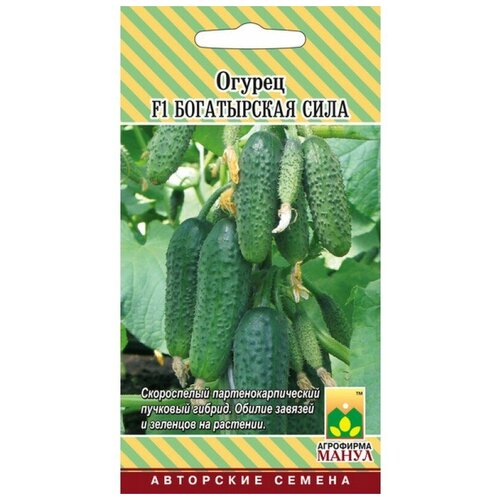 ���������� ������ F1 ����������� ���� 10 �� �����