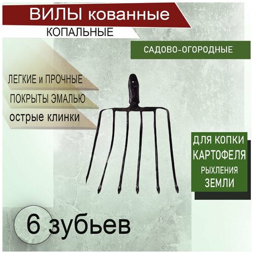 ���������� ���� 6 �������� ���������� ��������� ��� ����� ��������� ����������� �������� ������ ������