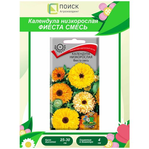 ���������� ������ ��������� ����������� ������ ����� ���������� 1 ��.