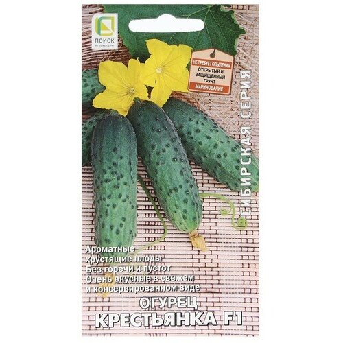 ���������� ������ ������ ���������� F1 12�� ������������������ ������ (�����)