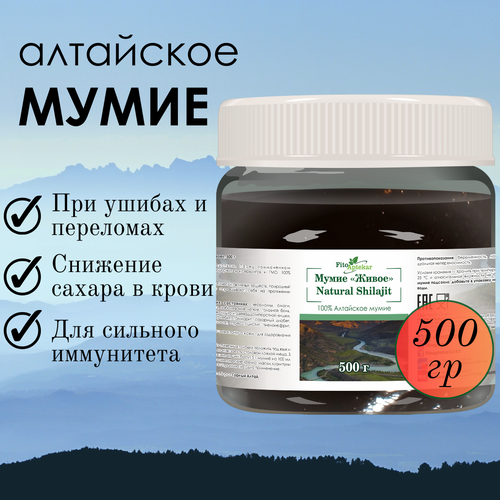 ���������� ���� ��������� ����� ����-�������� ��� �������� � ������ ������������, 500 ��