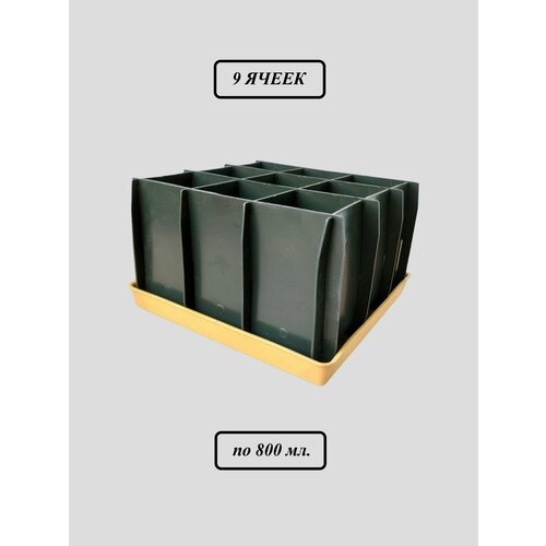 ���������� ���� ��� �������