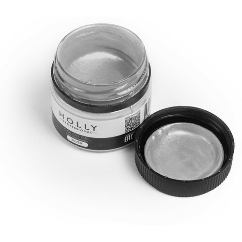 Holly Professional     /   ,    Color Gel Silver   , -, 