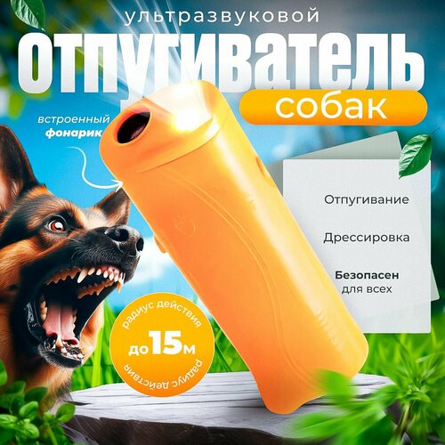 ���������� �������������� ������������ �����