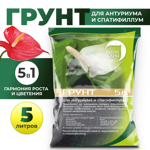 ���������� ����. ����� ��� ���������, ������������, ������������� ���� �������/ ����� ��� ��������� ������, 5 �