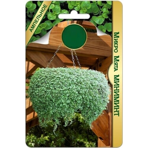 ���������� ����������� ���� 5 ������-�����,12-15 �����. ����������� �������, ������� ���������� � ���������������. ���������� ���� ������� ������� ��� �������