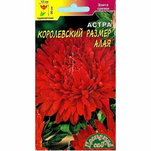 ���������� ������ ����� ����������� ������, ���� (����������) (�������� ���) 0,1�