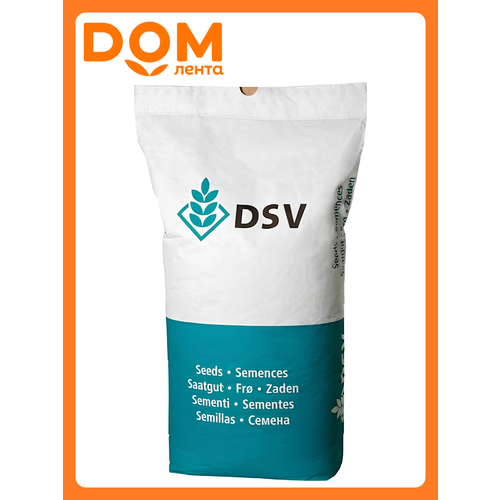 ���������� ����� 420 ����� 5�� DSV