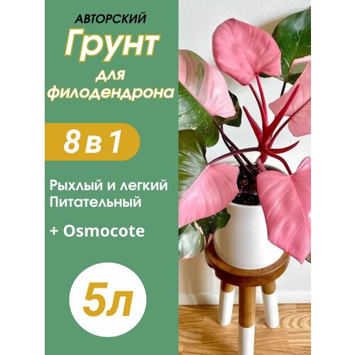 ���������� ����� ��� ������������ 5�
