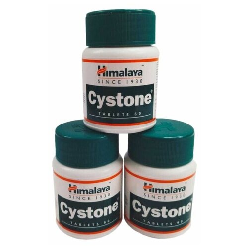 ���������� AYURVED-Cyston ��� ������. ����������� �������