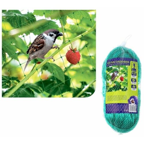 ���������� ����� ��� ������ ������ �� ����, 5�10�, ����������,