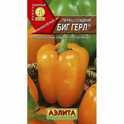 ���������� ������ ����� ������� ��� ���� (������) 20�� ������� �����