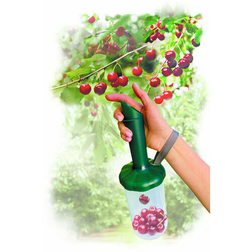 ���������� ������������ (������������) ��-2